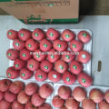 Verkaufe Yantai Fresh Red Fuji Apfel